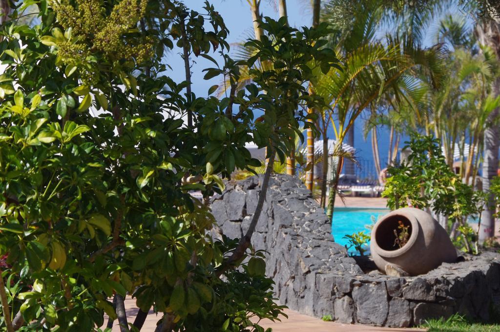 Playa De Roques Apartamento