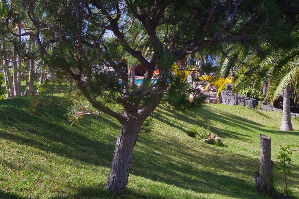 Apartamento Playa De Los Roques *